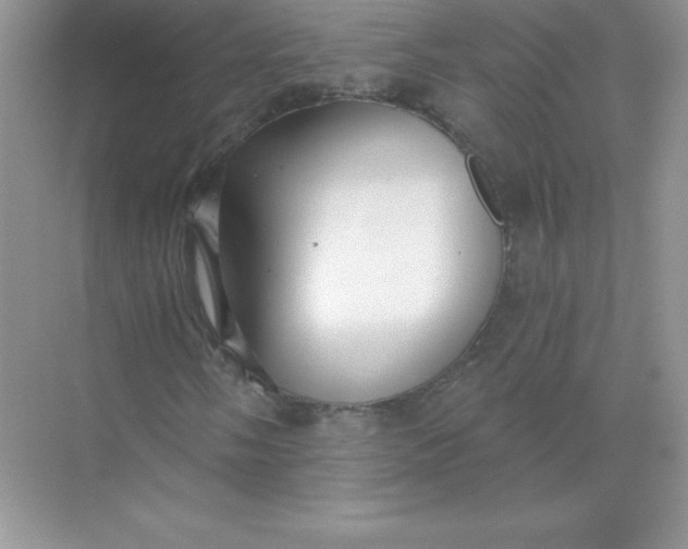 X0000071961058200607212246