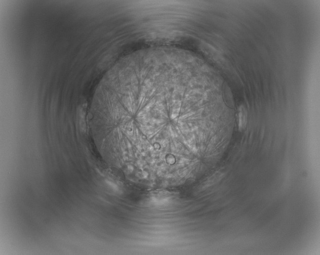 X0000071961059200607212246