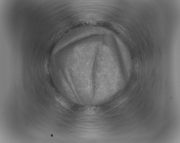 X0000071961060200607212246