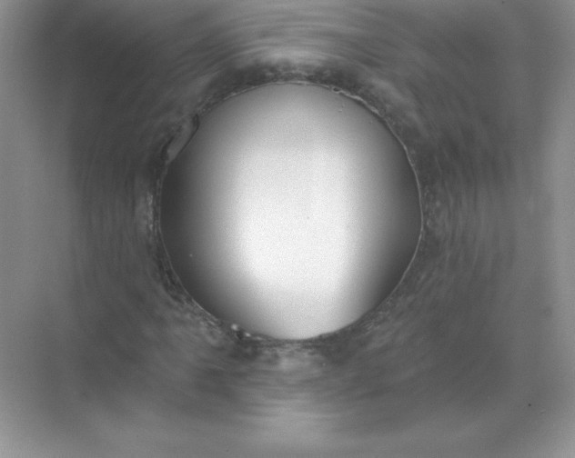 X0000071961061200607212246