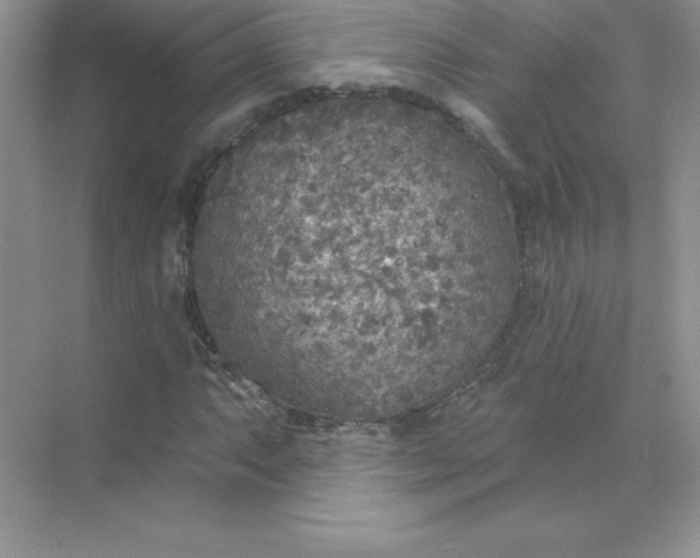 X0000071961063200607212246