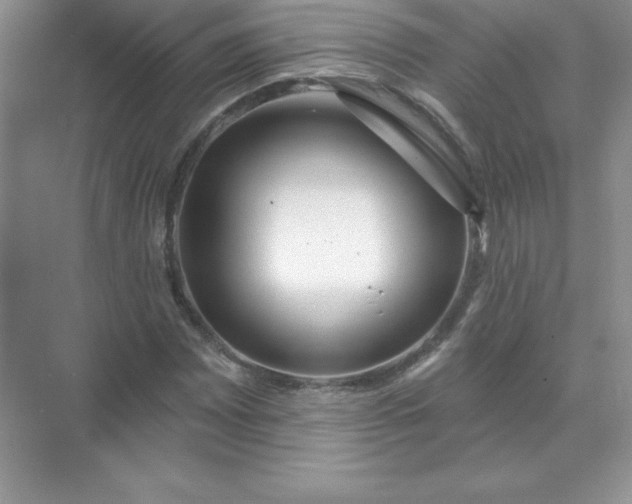 X0000071961065200607212246