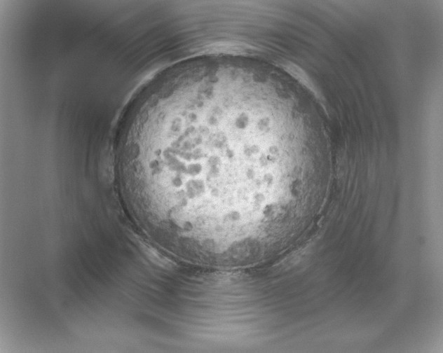 X0000071961067200607212246