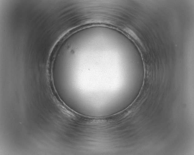 X0000071961068200607212246