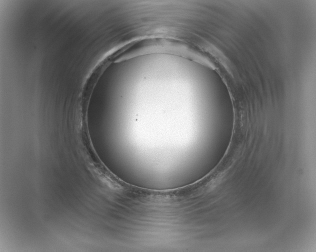 X0000071961069200607212246