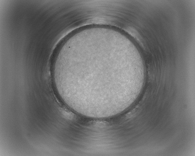 X0000071961070200607212246