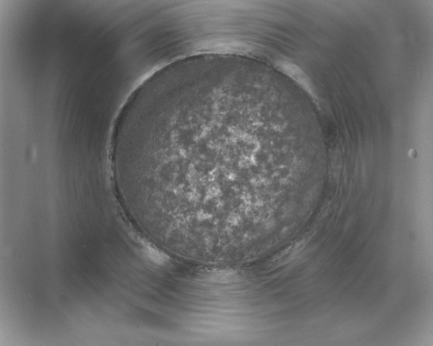 X0000071961071200607212246