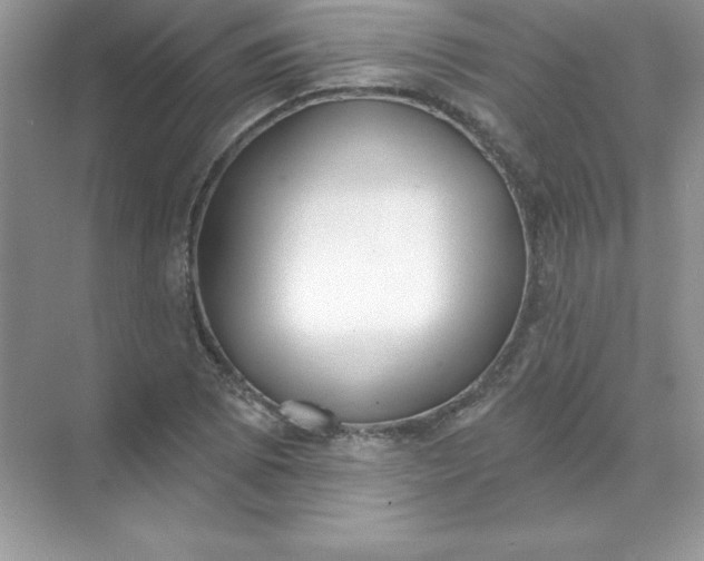 X0000071961073200607212246