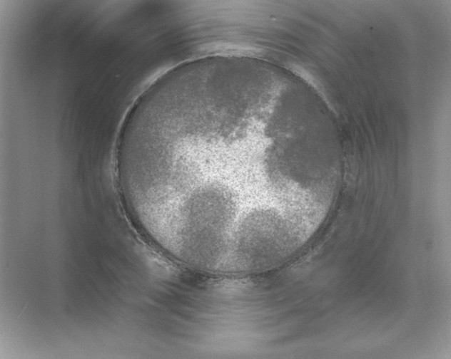 X0000071961074200607212246