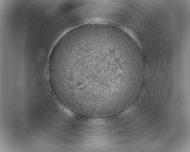 X0000071961075200607212246