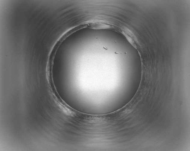 X0000071961076200607212246