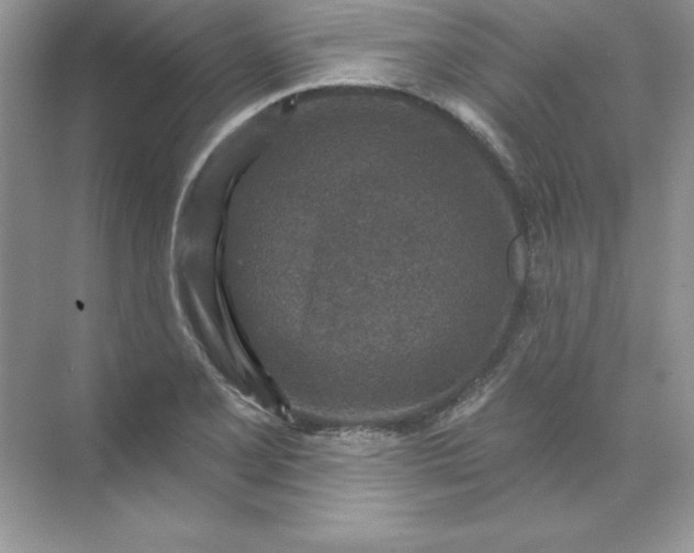 X0000071961077200607212246