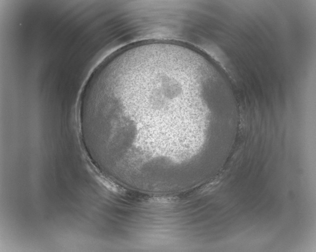 X0000071961078200607212246