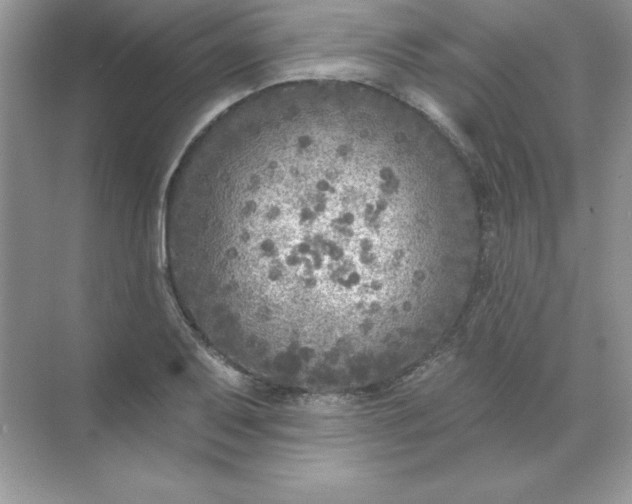 X0000071961079200607212246