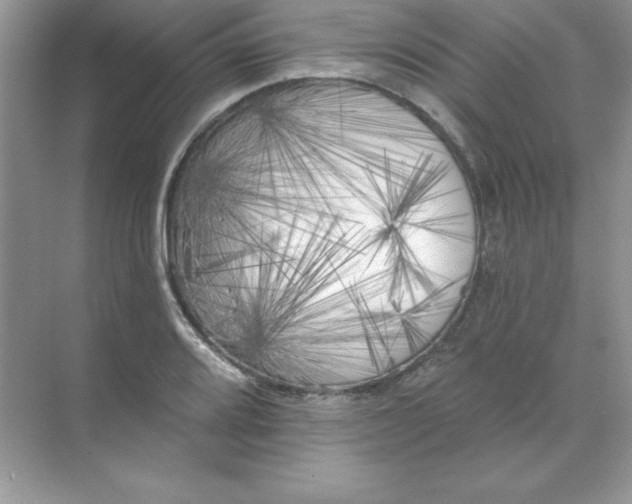 X0000071961080200607212246