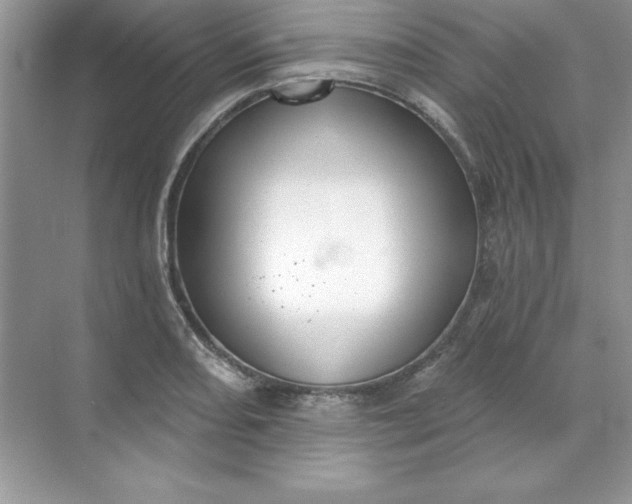 X0000071961082200607212246