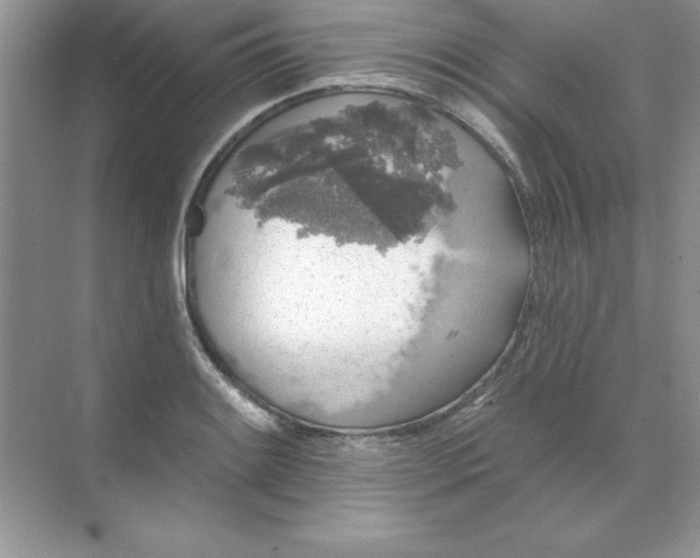 X0000071961084200607212246