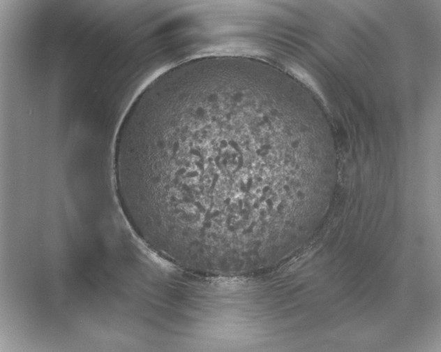 X0000071961087200607212246