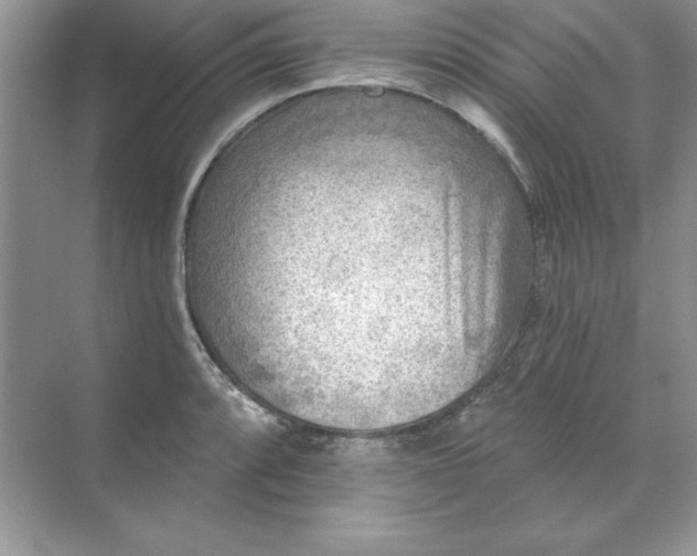 X0000071961088200607212246