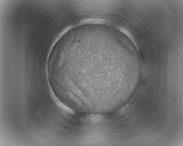 X0000071961090200607212246