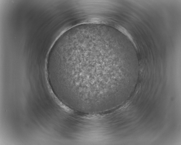 X0000071961091200607212246