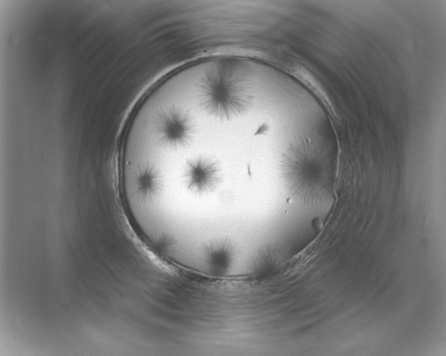 X0000071961092200607212246