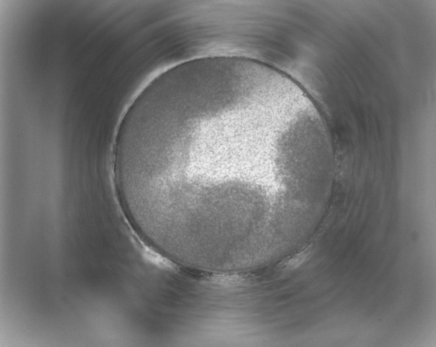 X0000071961094200607212246