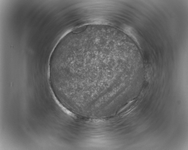 X0000071961095200607212246