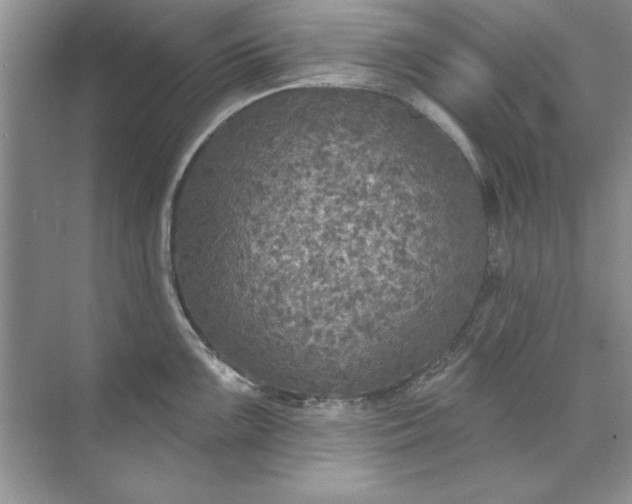 X0000071961099200607212246