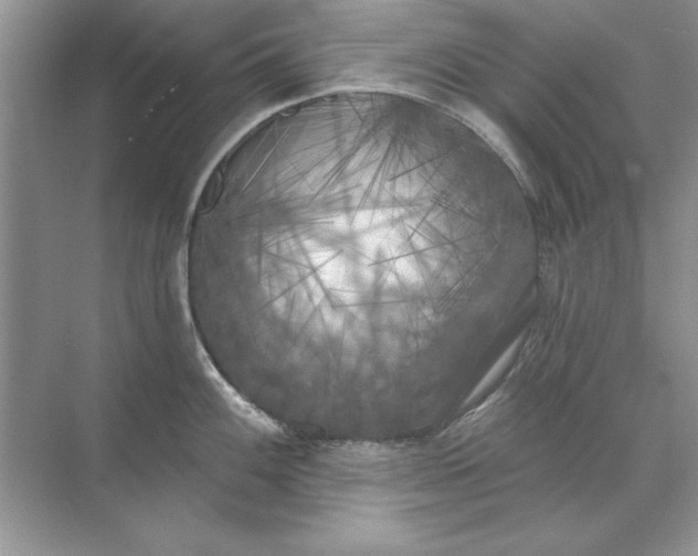 X0000071961100200607212246