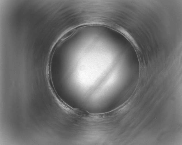 X0000071961101200607212246