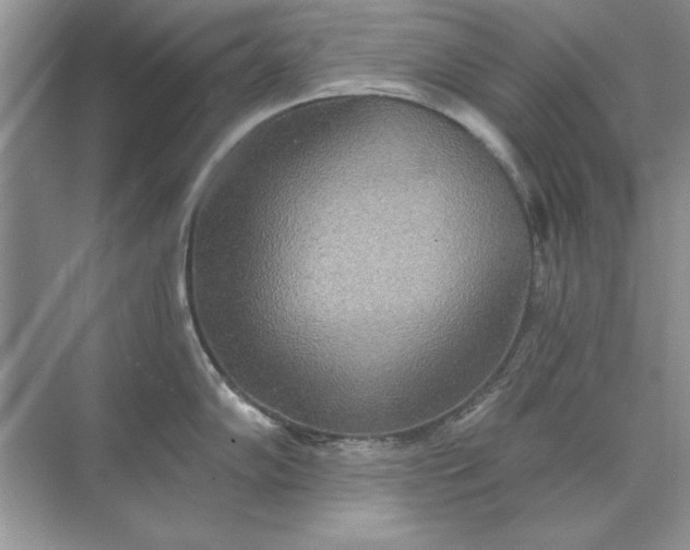 X0000071961102200607212246