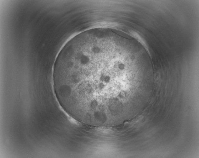 X0000071961103200607212246