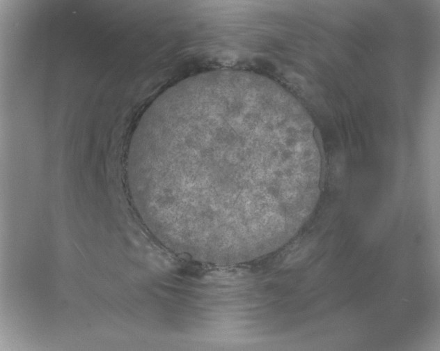 X0000071961105200607212245