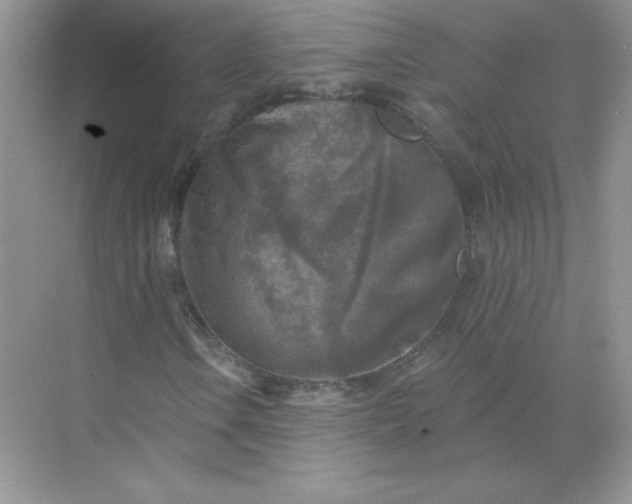 X0000071961106200607212245