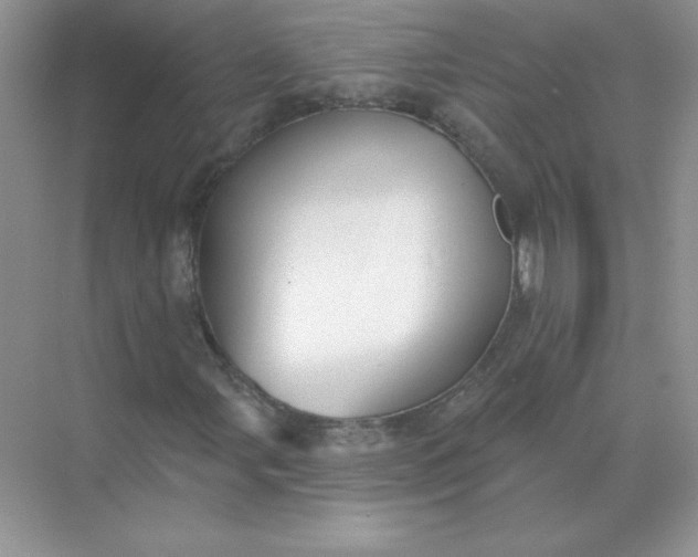 X0000071961107200607212245