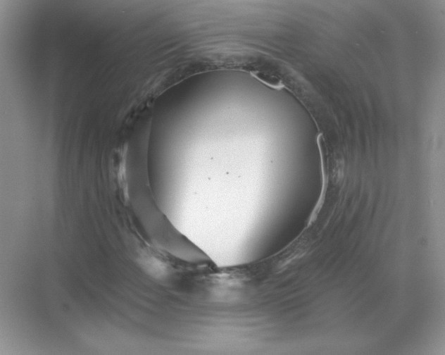 X0000071961108200607212245