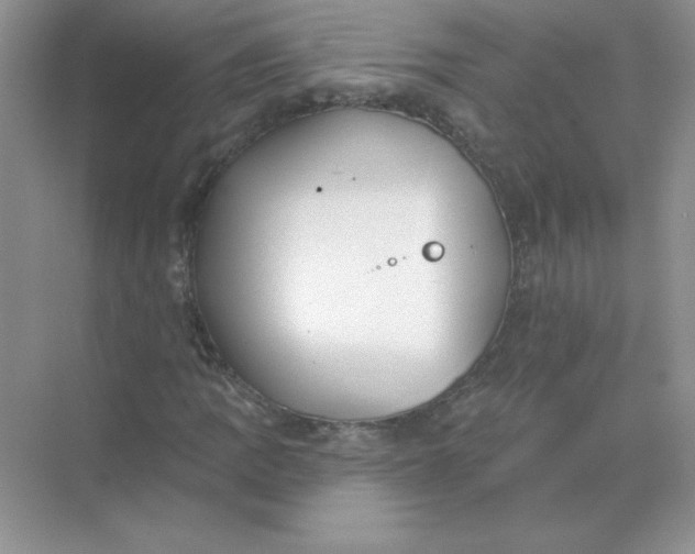 X0000071961109200607212245