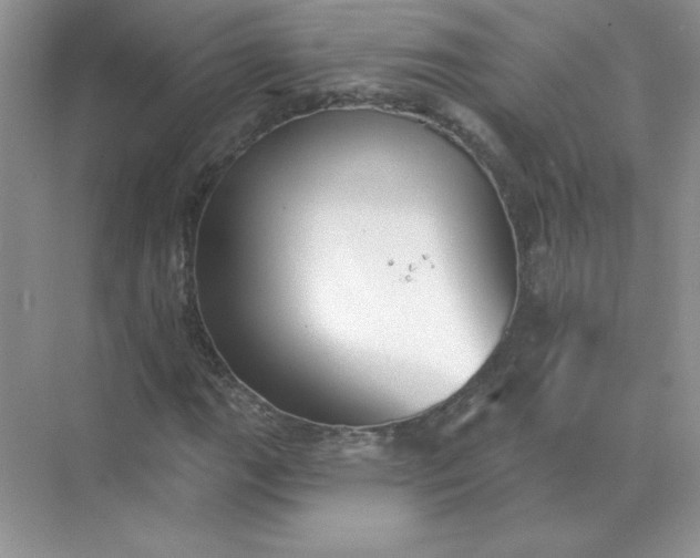 X0000071961111200607212245