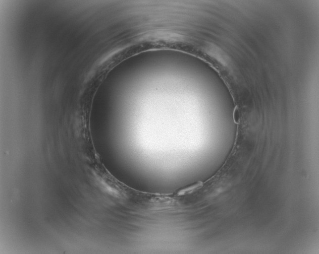 X0000071961112200607212245