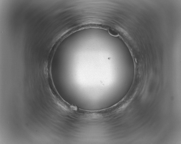 X0000071961113200607212245