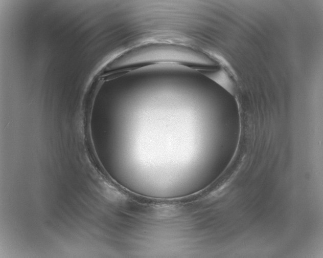 X0000071961114200607212245