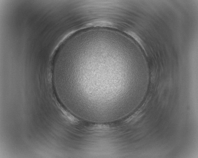 X0000071961115200607212245