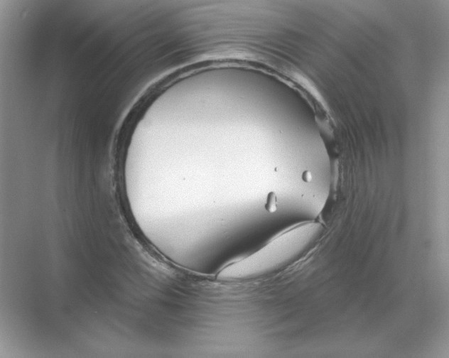 X0000071961116200607212245