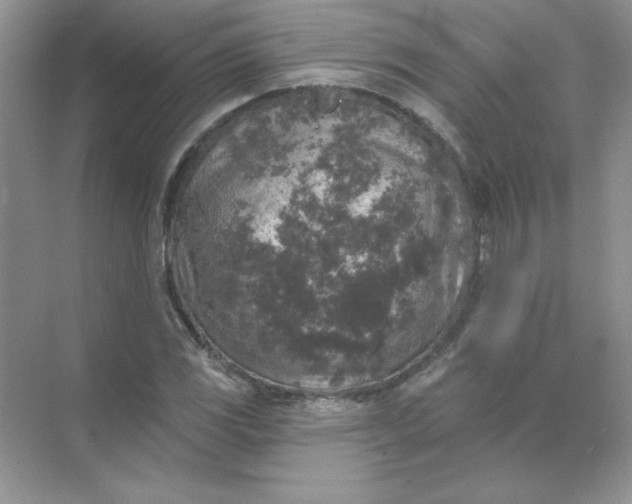 X0000071961117200607212245