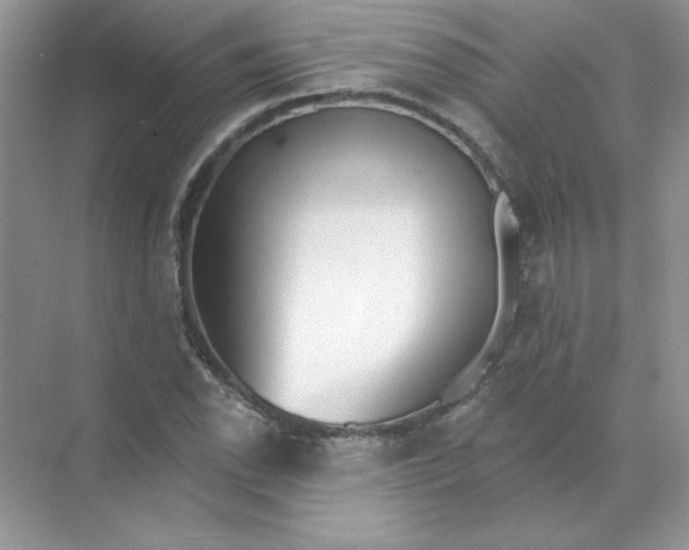 X0000071961118200607212245