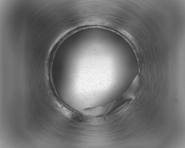 X0000071961120200607212245