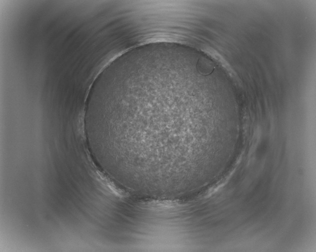 X0000071961121200607212245