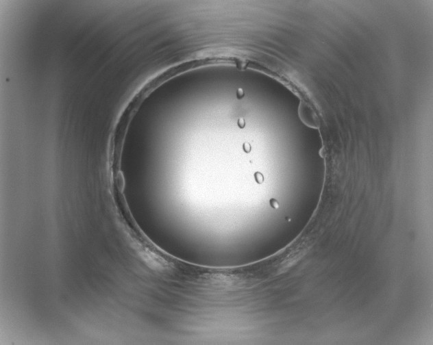 X0000071961124200607212245