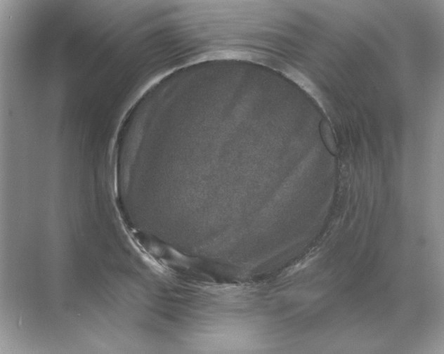 X0000071961127200607212245